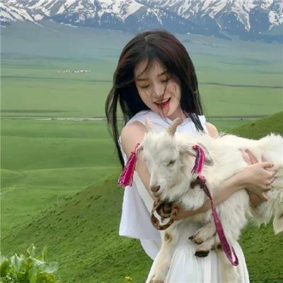 当红女秘书