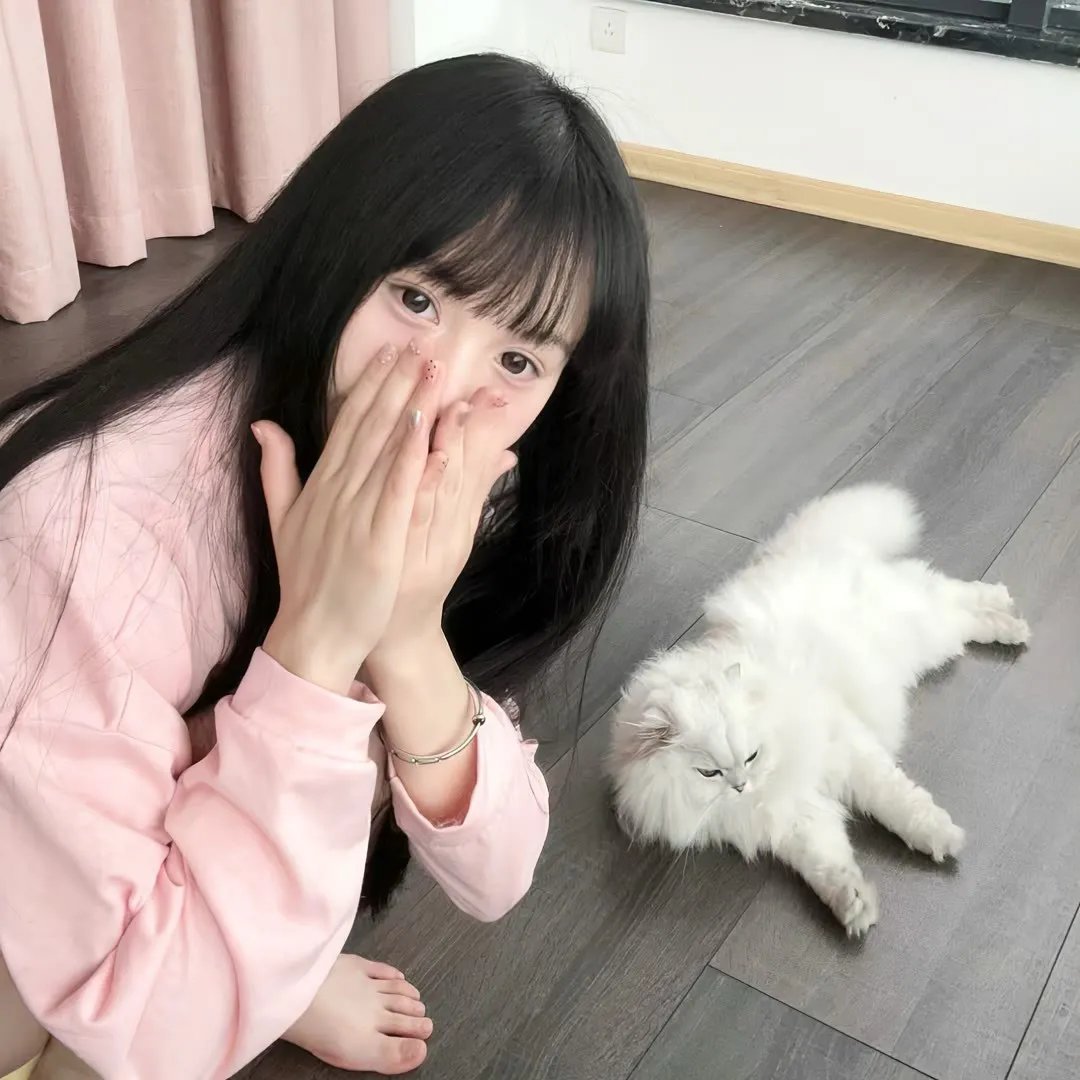 小乌龟福兰克林